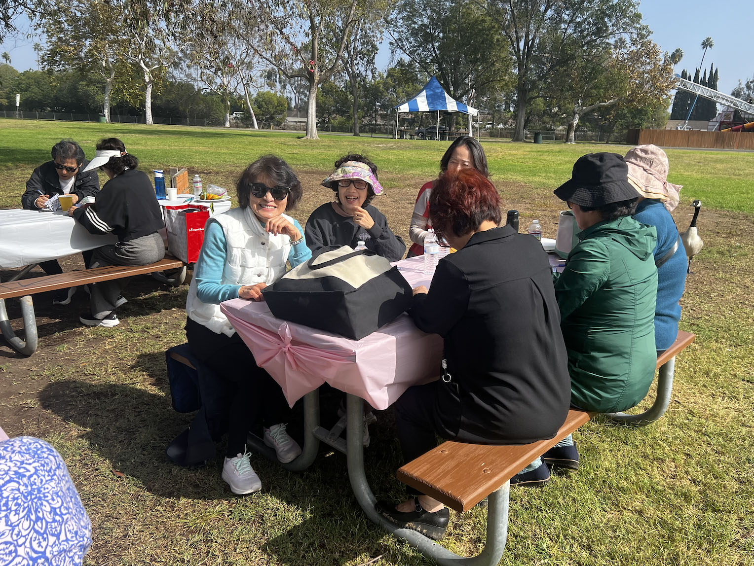 Screenshot 2026-03-24 at 9.00.07 PM copy.jpg