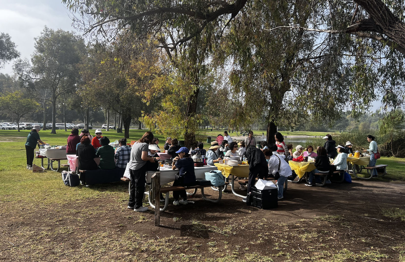 Screenshot 2026-03-24 at 8.58.09 PM copy.jpg