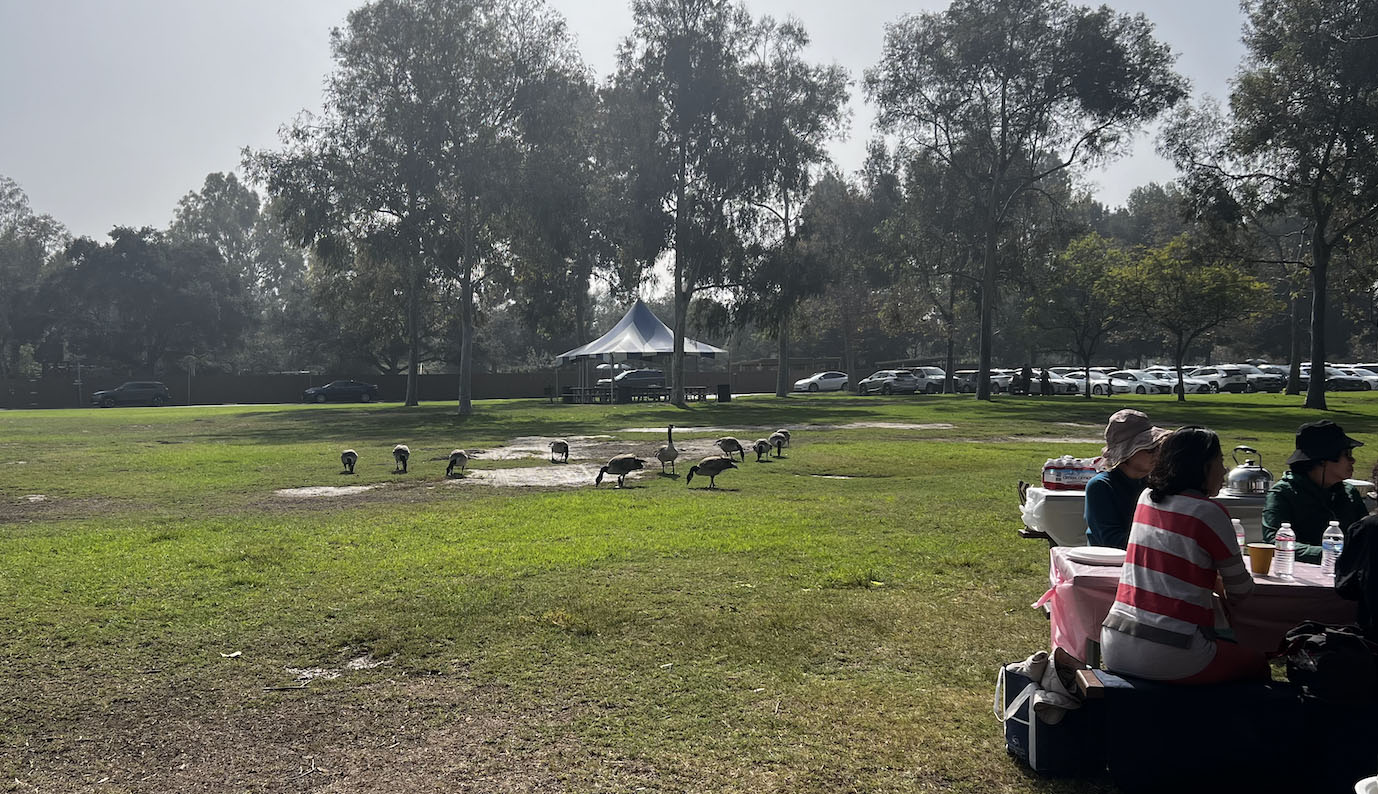 Screenshot 2026-03-24 at 8.59.00 PM copy.jpg