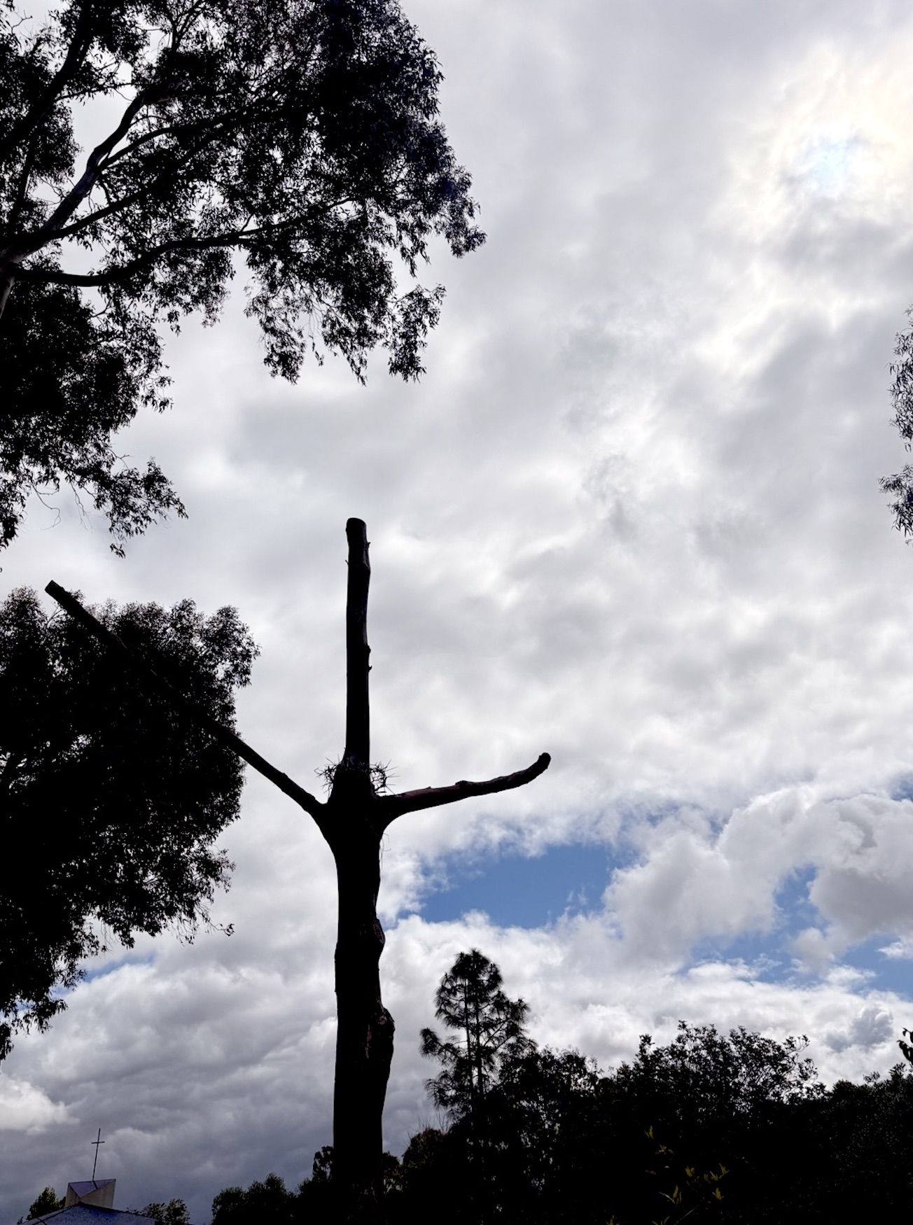 Screenshot 2025-06-01 at 8.48.44 PM.jpeg